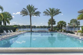 a large swimming pool with palm trees and chairs at Lakeside Villas, Florida, 32817